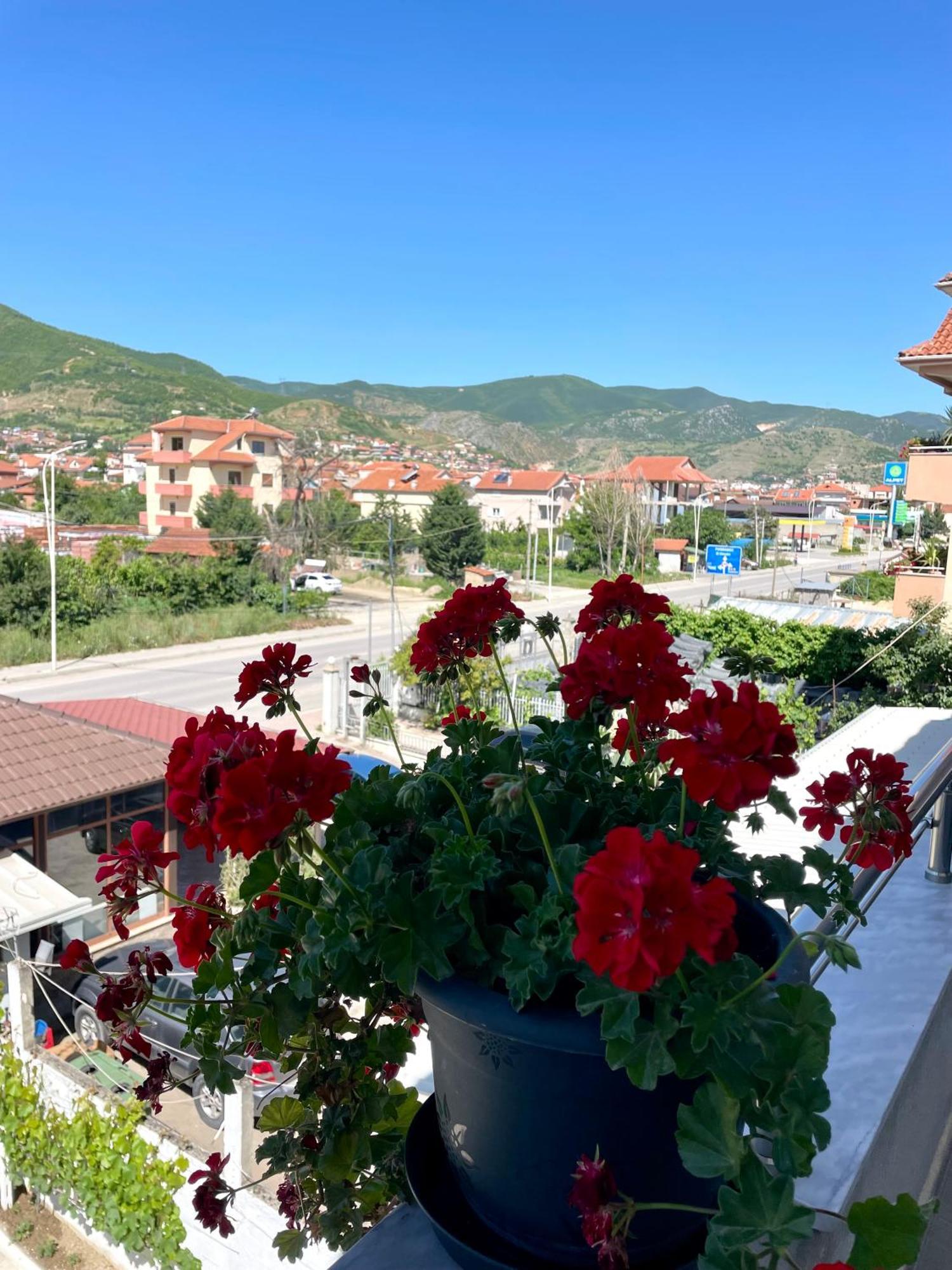 Villa71 Pogradec